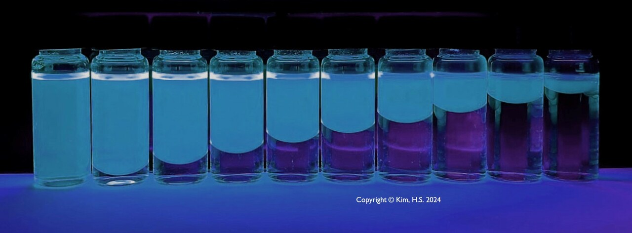 Understanding of Complex Spin Up-conversion Processes in Charge-Transfer-Type Organic Molecules