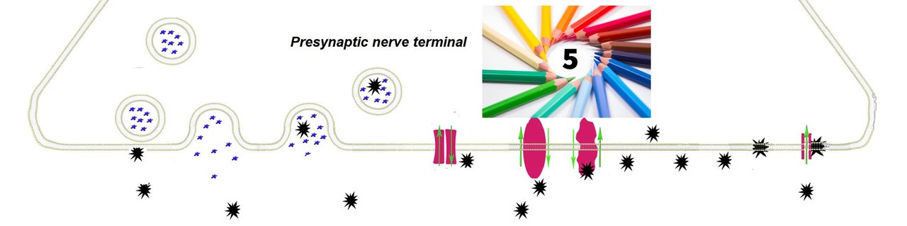 A multidisciplinary approach for teaching neurotoxicology