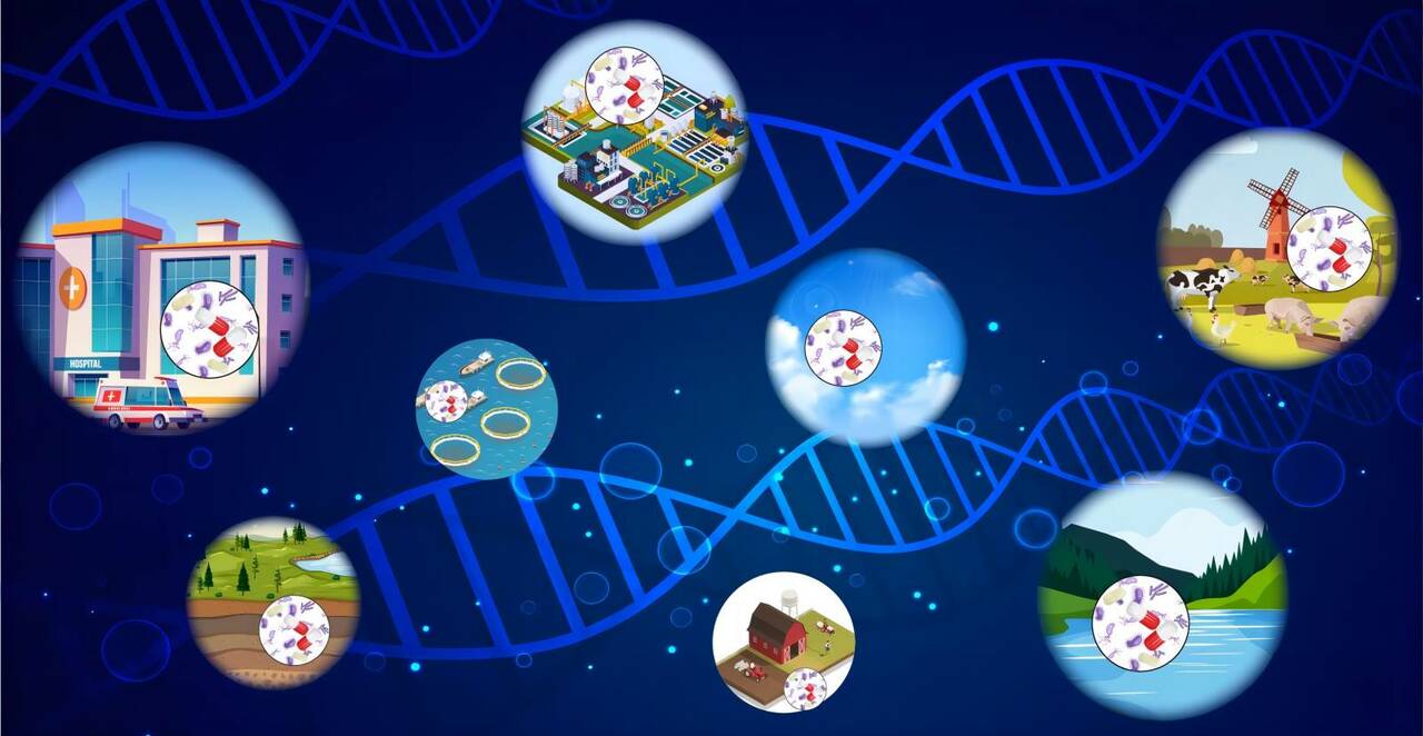 A database on the abundance of environmental antibiotic resistance genes