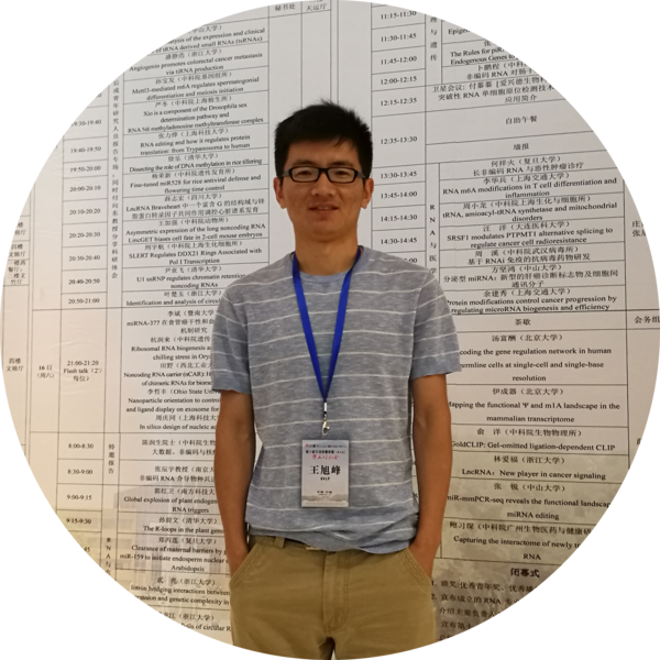 Go to the profile of Xufeng Wang