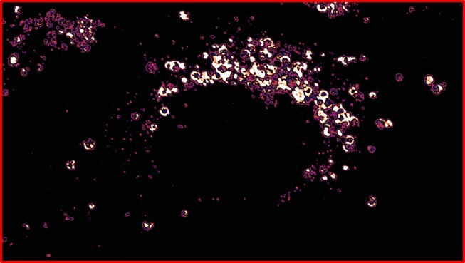 SARS-CoV-2 virulence factor ORF3a blocks lysosome function by modulating TBC1D5-dependent Rab7 GTPase cycle