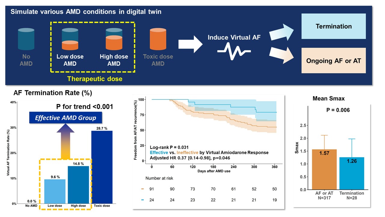 Clinical Utility of Digital Twin-Guided Amiodarone Test in AF Patients