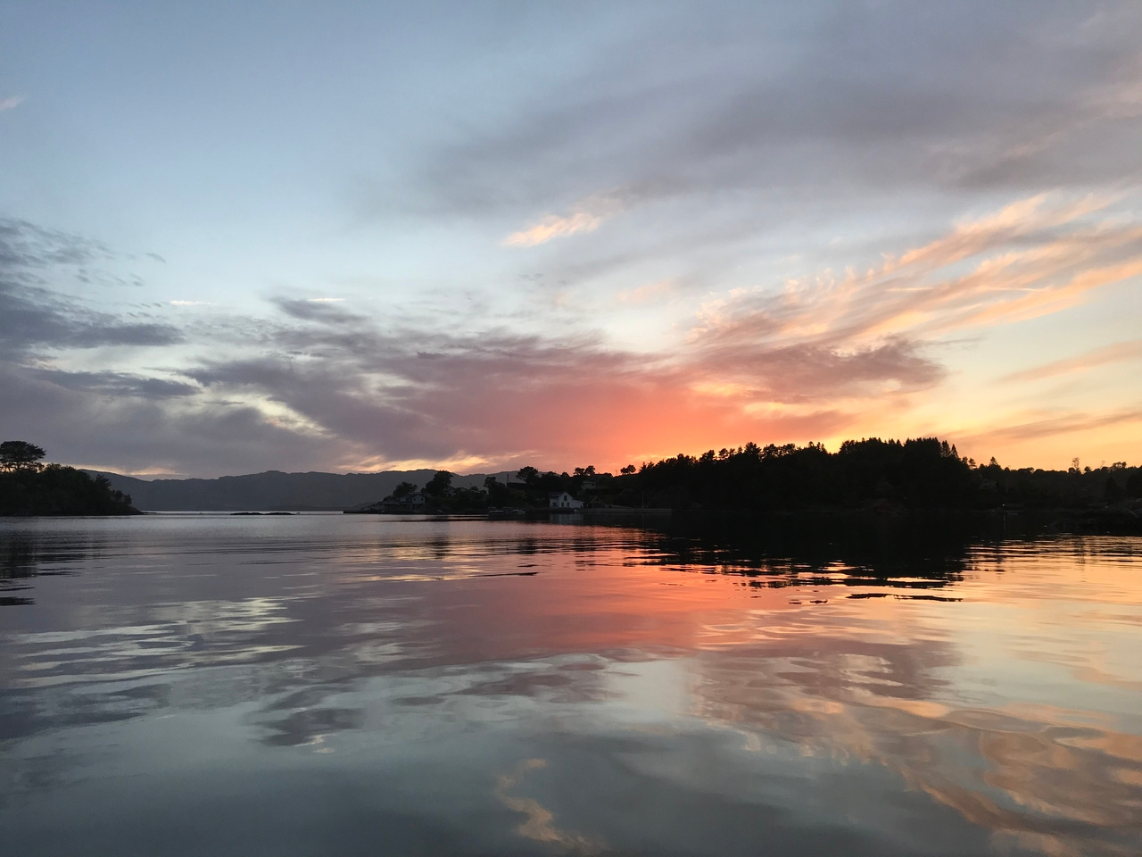 Hunting for the authentic host of giant viruses in the marine environment 