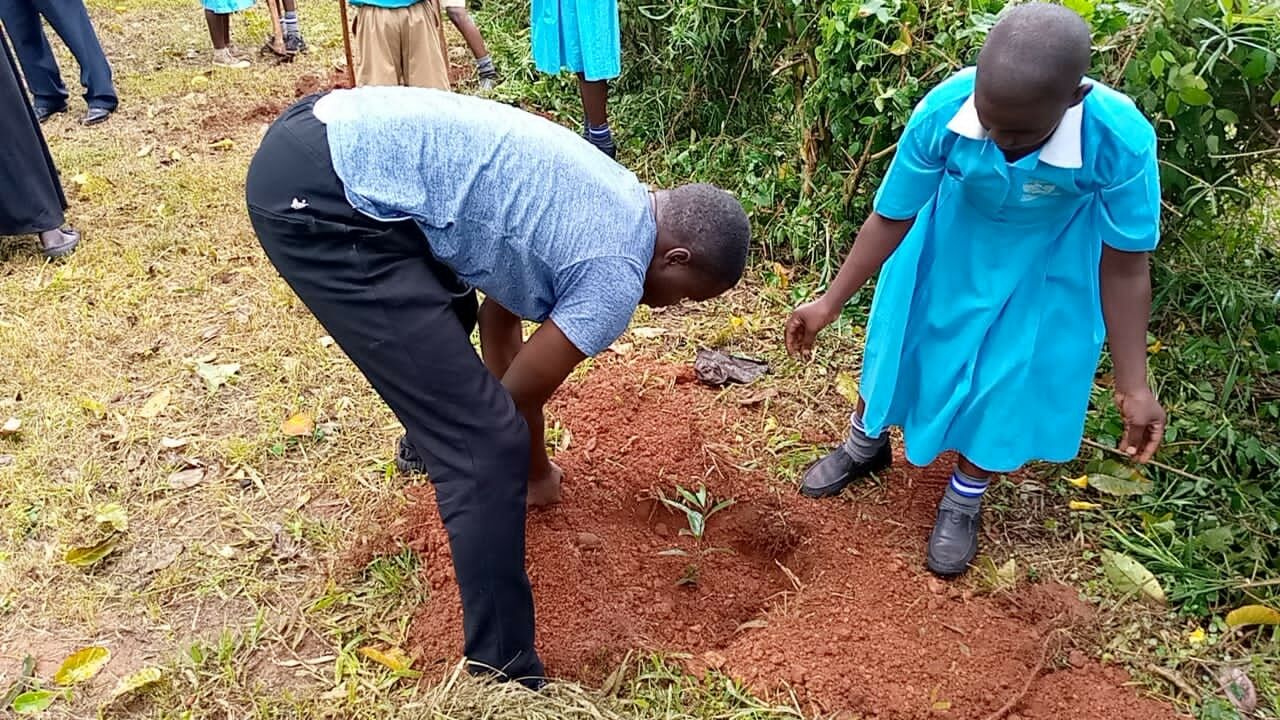 Environmental Awareness & Tree planting