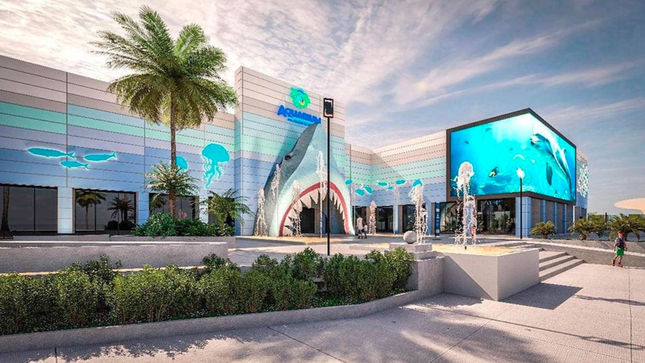 Tecnología y asombro en el Aquarium de Veracruz