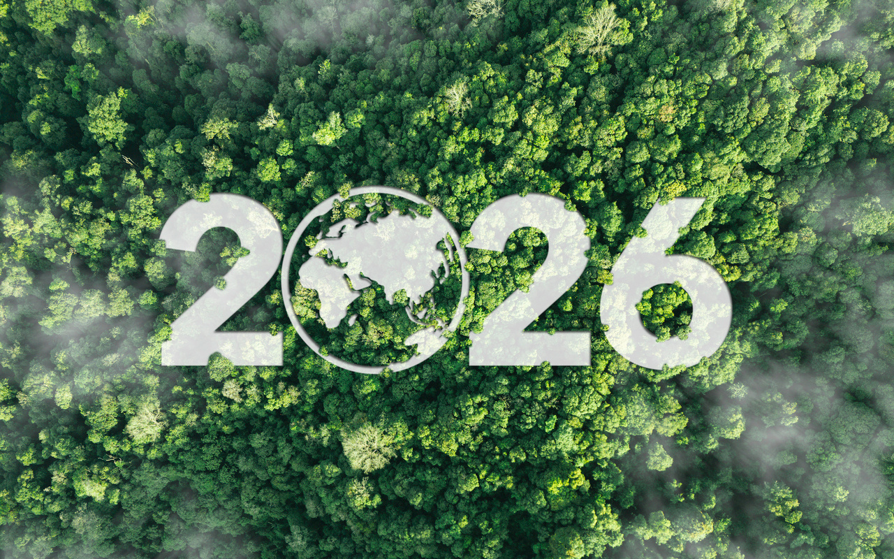 International Day of Forests 2026 : Highlights from BMC Series