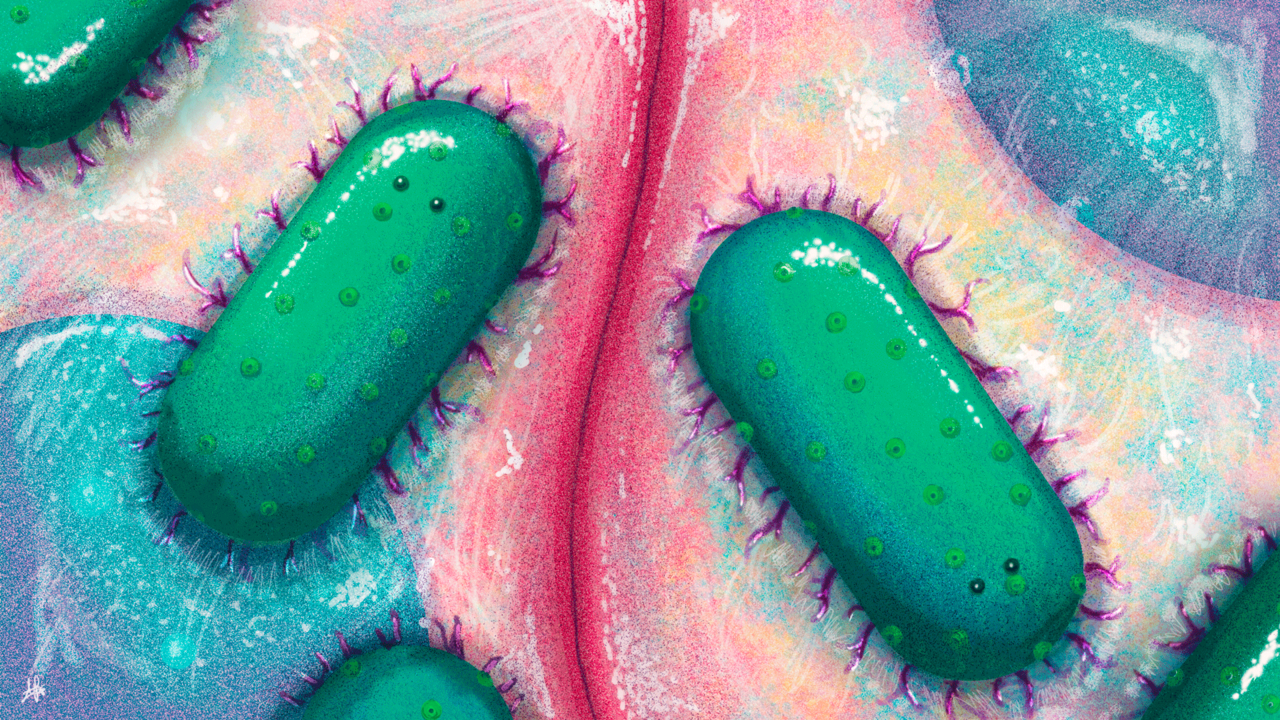 Mutations in the efflux pump regulator MexZ shift tissue colonization by Pseudomonas aeruginosa to a state of antibiotic tolerance