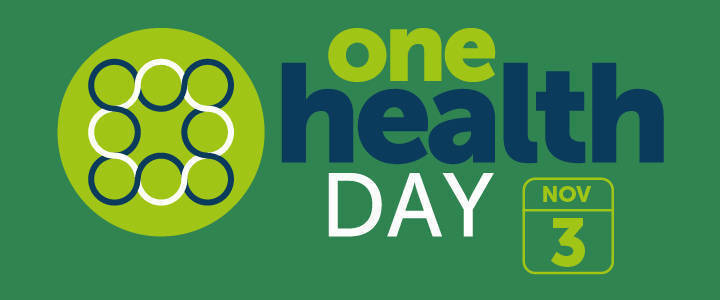 One Health Day 2024