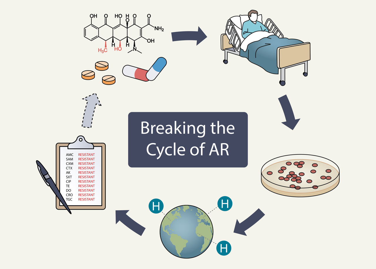 Breaking the Cycle of Antibiotic Resistance 