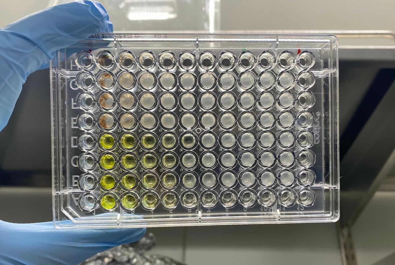 Sequence-structure-function characterization of the emerging tetracycline destructases family of antibiotic resistance enzymes