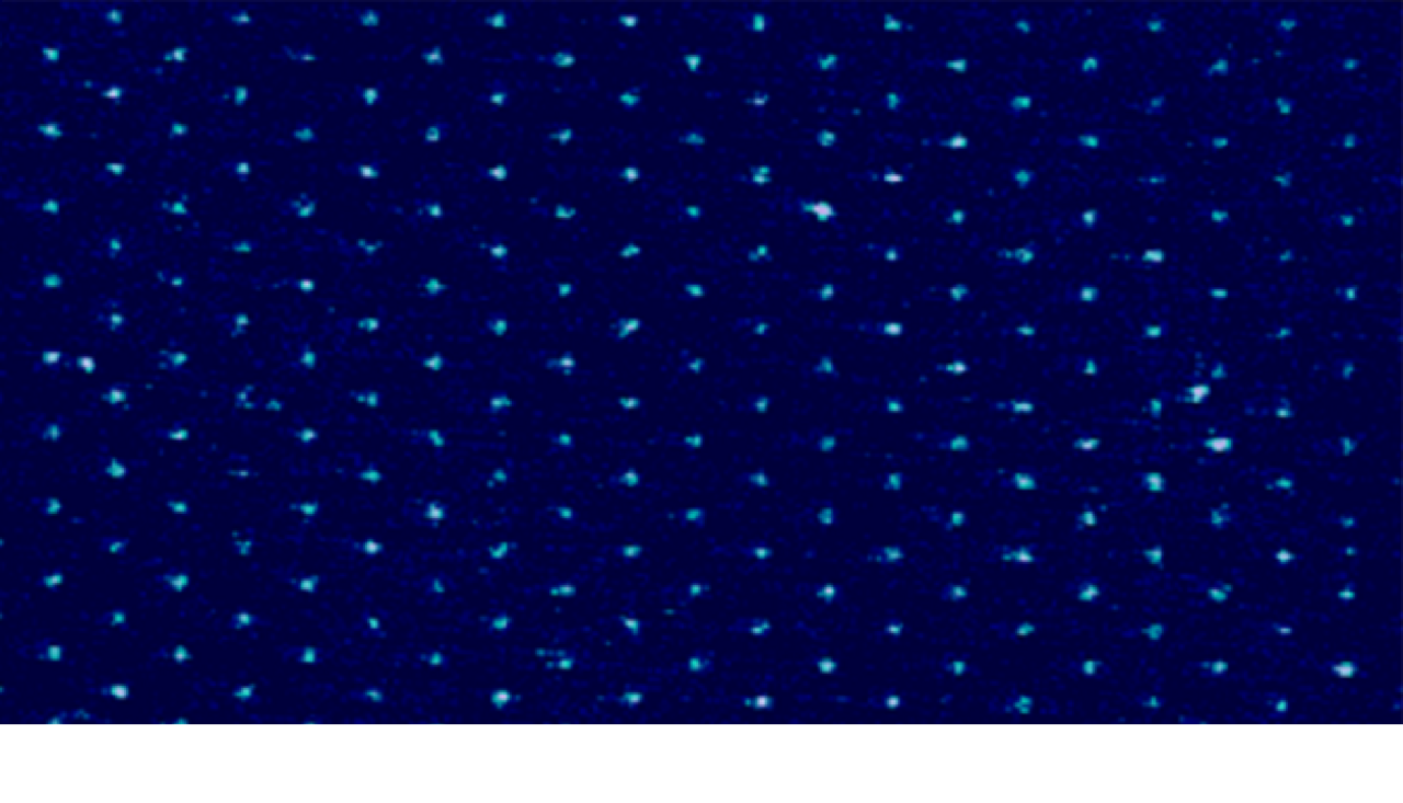 Electrochemical Ion Implantation Brings Polymer Doping to Nanoscale