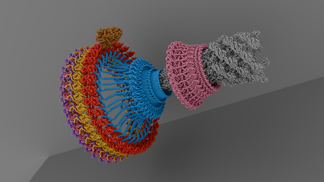A Leap from Bioenergetics to Chemotaxis