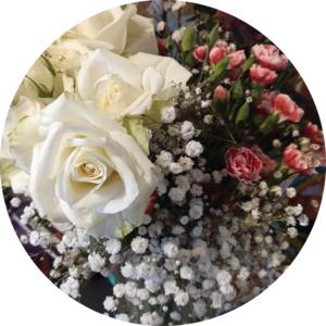 Go to the profile of Michelle Marshall