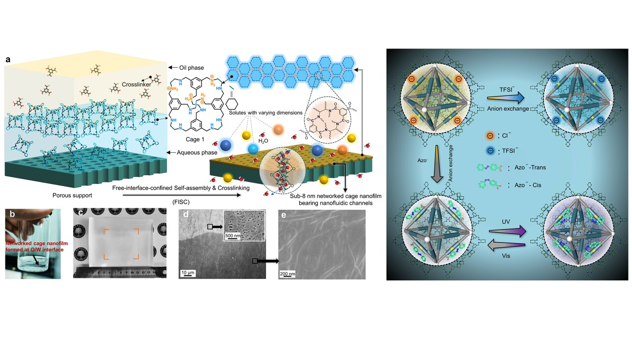 Porous Organic Cage:  An Emerging Building Block for Constructing Bioinspired Membranes