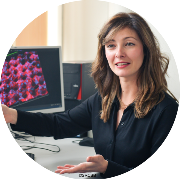 Go to the profile of Cristiana Lungu