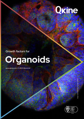 Qkine; Growth factors for Organoid