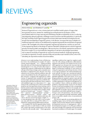 Engineering organoids