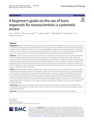 A beginner’s guide on the use of brain organoids for neuroscientists: a systematic review