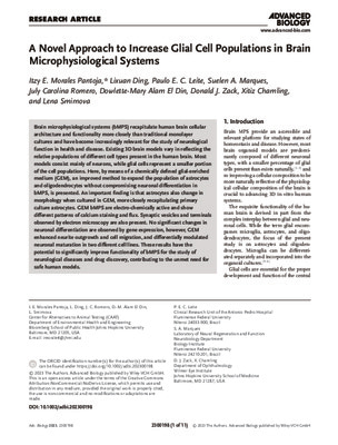 A Novel Approach to Increase Glial Cell Populations in Brain Microphysiological System