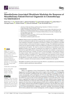 Mesothelioma-Associated Fibroblasts Modulate the Response of Mesothelioma Patient-Derived Organoids to Chemotherapy via Interleukin-6