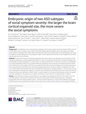 Embryonic origin of two ASD subtypes of social symptom severity: the larger the brain cortical organoid size, the more severe the social symptoms