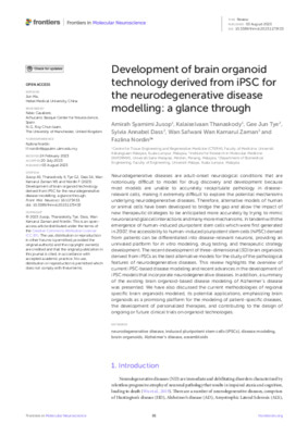 Development of brain organoid technology derived from iPSC for the neurodegenerative disease modelling: a glance through