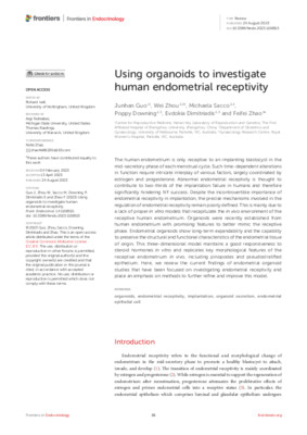 Using organoids to investigate human endometrial receptivity