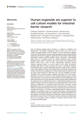 Human organoids are superior to cell culture models for intestinal barrier research
