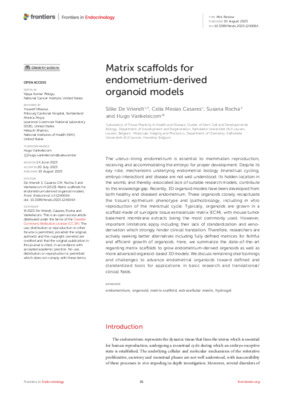 Matrix scaffolds for endometrium-derived organoid models