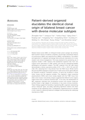 Patient-derived organoid elucidates the identical clonal origin of bilateral breast cancer with diverse molecular subtypes