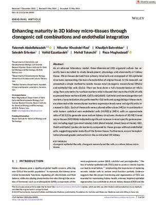 Enhancing maturity in 3D kidney micro-tissues through clonogenic cell combinations and endothelial integration