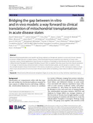 Bridging the gap between in vitro and in vivo models: a way forward to clinical translation of mitochondrial transplantation in acute disease states