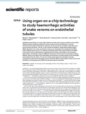 Using organ-on-a-chip technology to study haemorrhagic activities of snake venoms on endothelial tubules