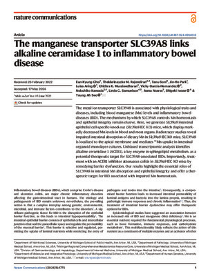 The manganese transporter SLC39A8 links alkaline ceramidase 1 to inflammatory bowel disease