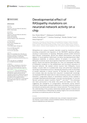 Developmental effect of RASopathy mutations on neuronal network activity on a chip