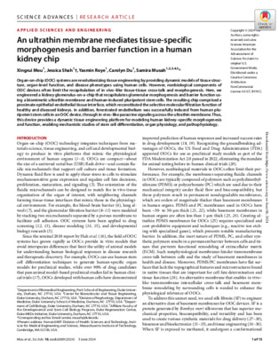 An ultrathin membrane mediates tissue-specific morphogenesis and barrier function in a human kidney chip