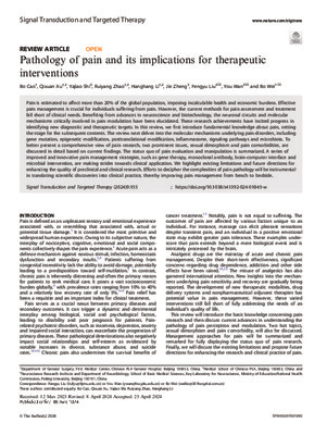 Pathology of pain and its implications for therapeutic interventions