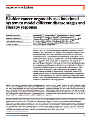 Bladder cancer organoids as a functional system to model different disease stages and therapy response