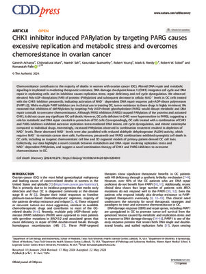 CHK1 inhibitor induced PARylation by targeting PARG causes excessive replication and metabolic stress and overcomes chemoresistance in ovarian cancer