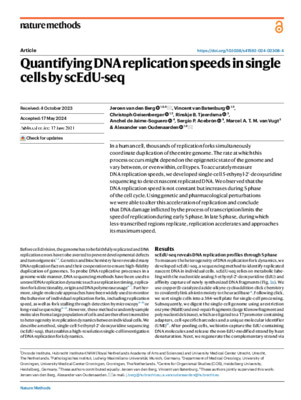 Quantifying DNA replication speeds in single cells by scEdU-seq