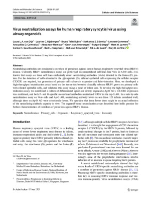 Virus neutralization assays for human respiratory syncytial virus using airway organoids