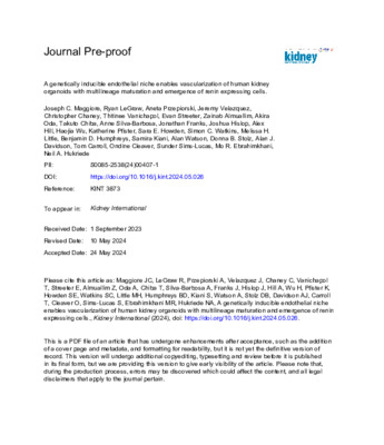 PrePrint: A genetically inducible endothelial niche enables vascularization of human kidney organoids with multilineage maturation and emergence of renin expressing cells.