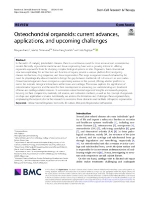Osteochondral organoids: current advances, applications, and upcoming challenges