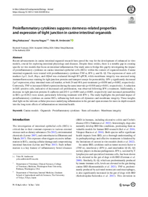 Proinflammatory cytokines suppress stemness-related properties and expression of tight junction in canine intestinal organoids