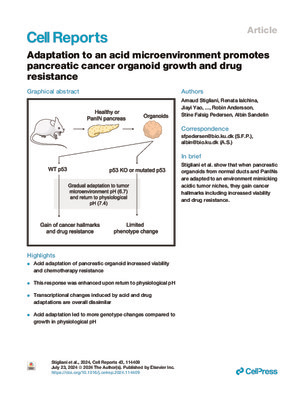 Adaptation to an acid microenvironment promotes pancreatic cancer organoid growth and drug resistance