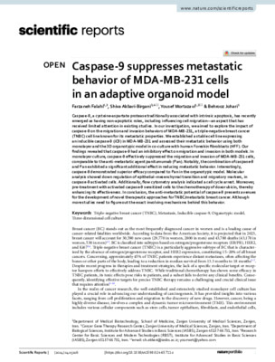 Caspase-9 suppresses metastatic behavior of MDA-MB-231 cells in an adaptive organoid model