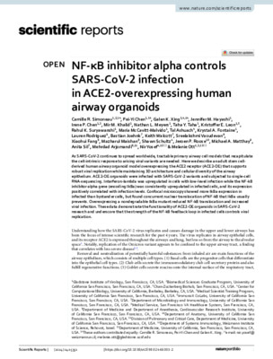 NF-κB inhibitor alpha controls SARS-CoV-2 infection in ACE2-overexpressing human airway organoids