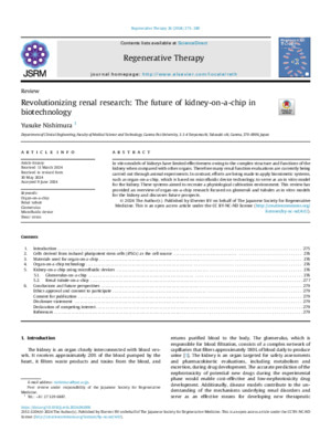 Revolutionizing renal research: The future of kidney-on-a-chip in biotechnology