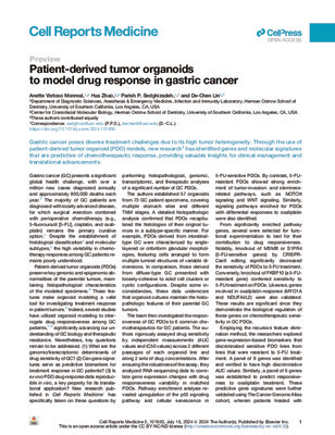 Patient-derived tumor organoids to model drug response in gastric cancer