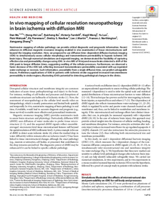 In vivo mapping of cellular resolution neuropathology in brain ischemia with diffusion MRI